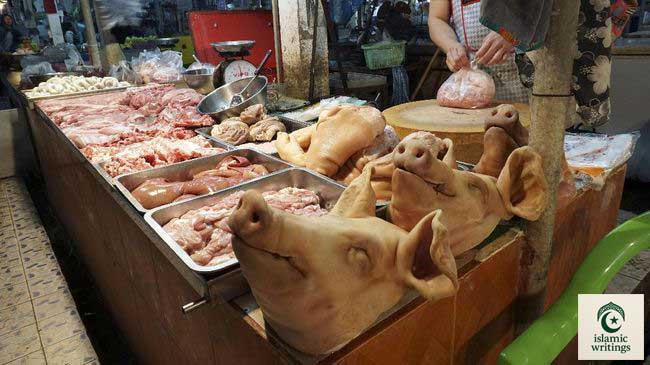 Bukan Cuma Babi, Ini 10 Makanan Yang Haram Dalam Islam Dan Dalilnya – islamicwritings